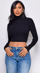 Astraia Basic Turtle Neck Crop Ribbed Sweater Top - Black