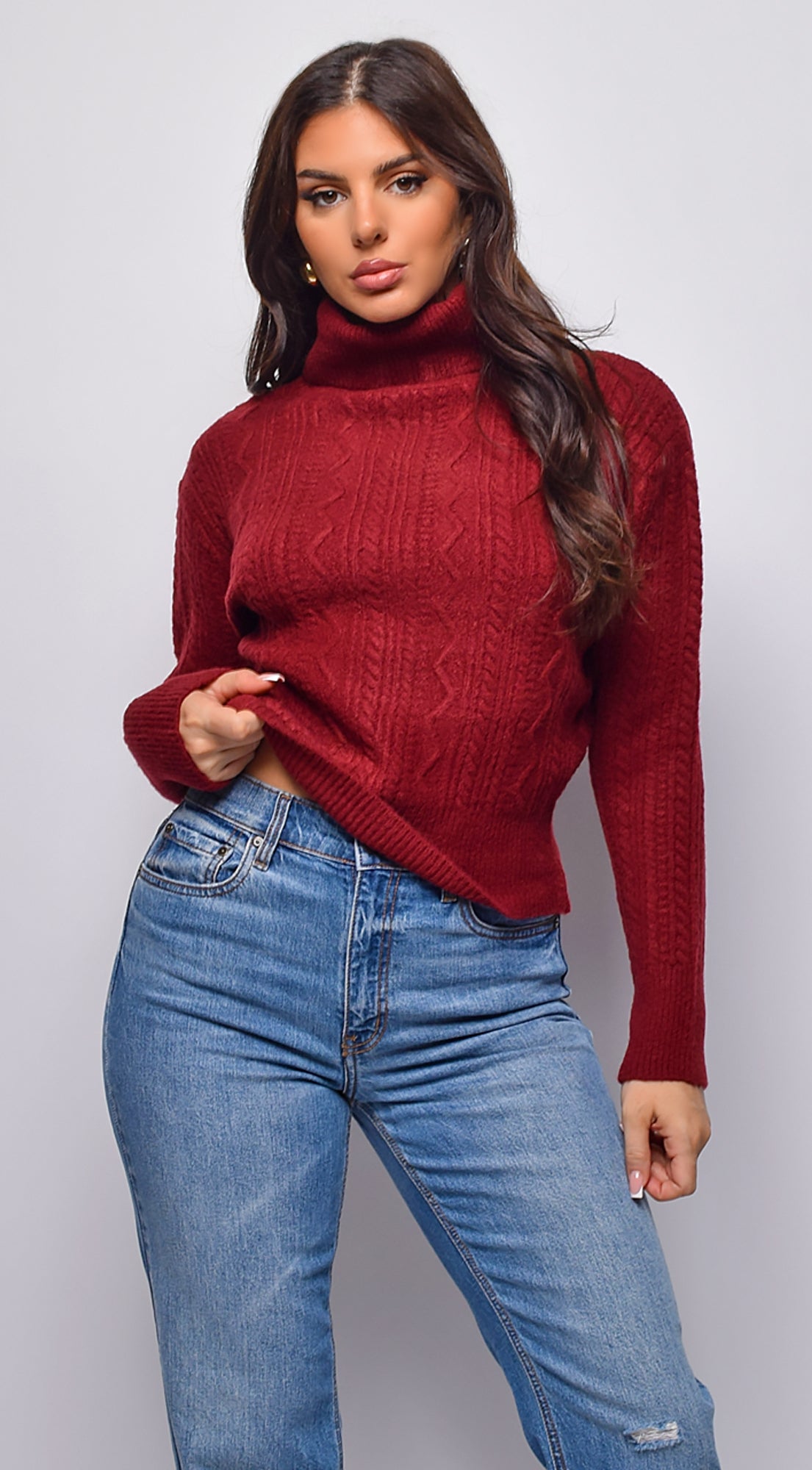 Gisella Cable Knit Turtle Neck Sweater Top - Burgundy