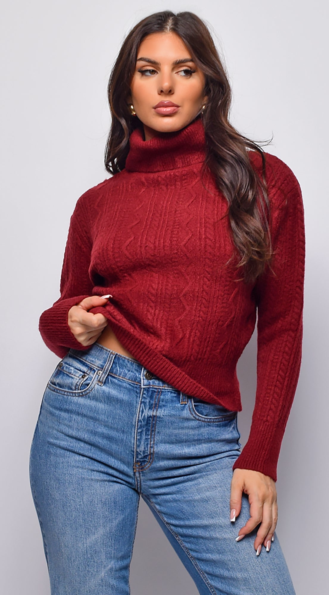 Gisella Cable Knit Turtle Neck Sweater Top - Burgundy